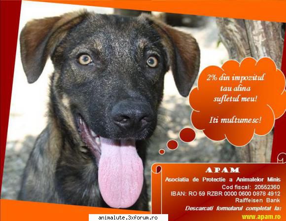 apam asociatia protectie animalelor minis puteti directiona din valoarea dvs. anul 2010 catre